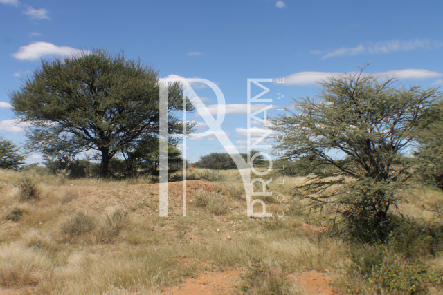 163 Ha Plot For Sale - Ref.No. 2066