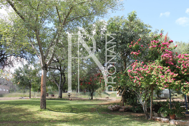 200 Ha Farm For Sale