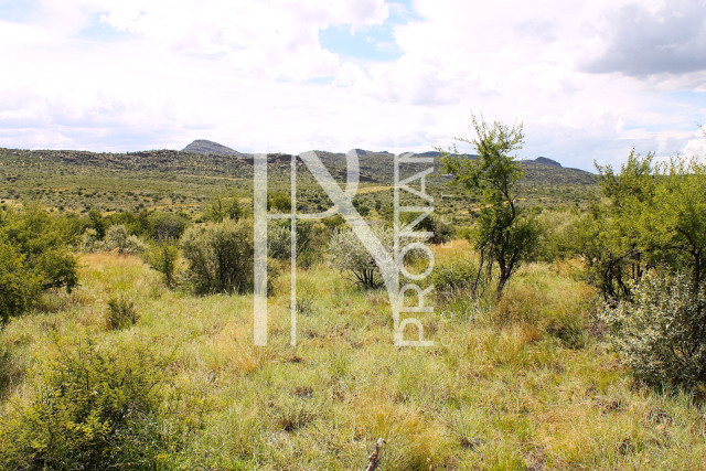 4.0 Ha Plot For Sale 