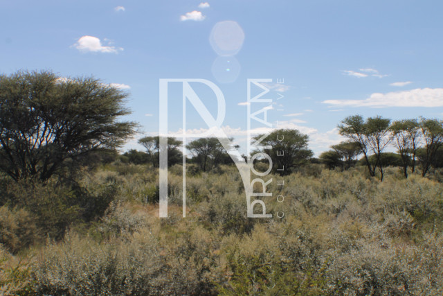 155 Ha Plot For Sale - Ref.No. 2065