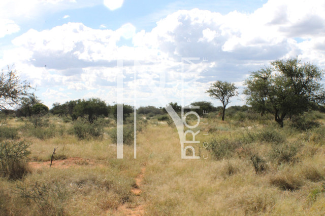 1268 Ha Farm For Sale - PRIME LOCATION - Ref.No. 2063