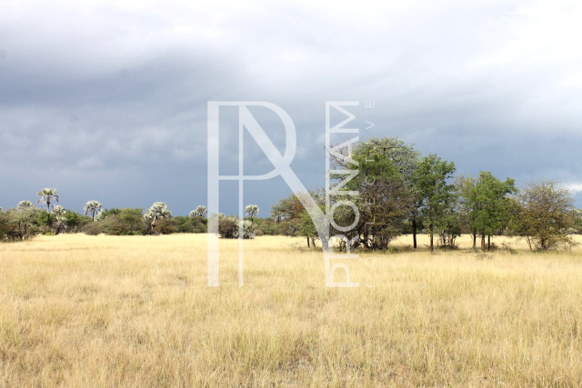 5409 Ha Farm For Sale 