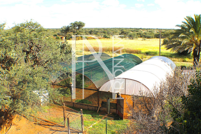 1268 Ha Farm For Sale - PRIME LOCATION - Ref.No. 2063
