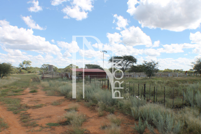 1268 Ha Farm For Sale - PRIME LOCATION - Ref.No. 2063