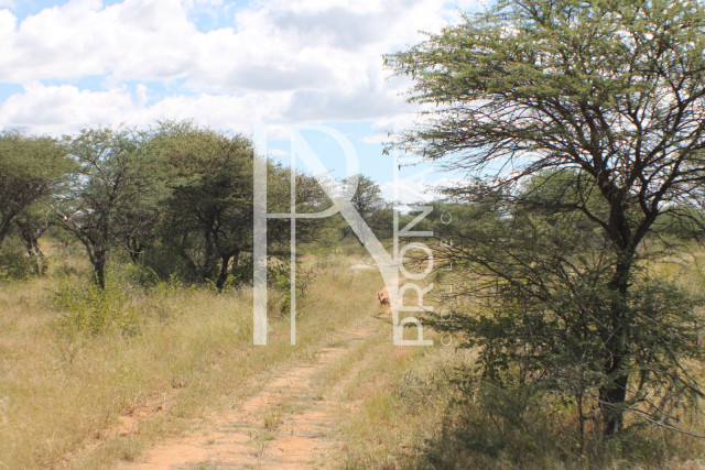 232 Ha Plot For Sale - Ref.No. 2068