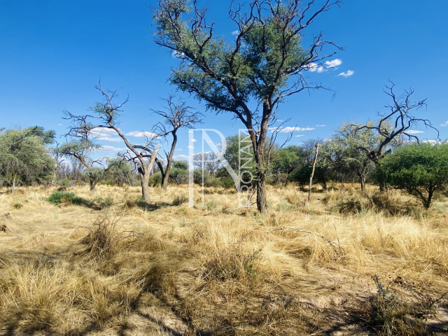 10000 Ha Lodge For Sale