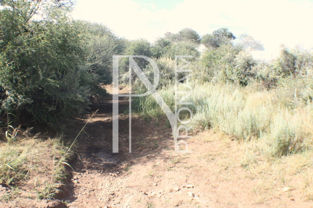 1268 Ha Farm For Sale - PRIME LOCATION - Ref.No. 2063