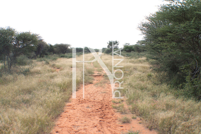 1268 Ha Farm For Sale - PRIME LOCATION - Ref.No. 2063