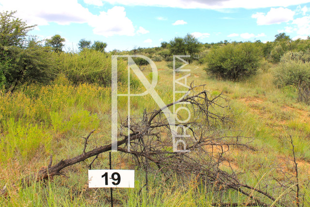 4.78 Ha Plot For Sale - Ref.No. 2033