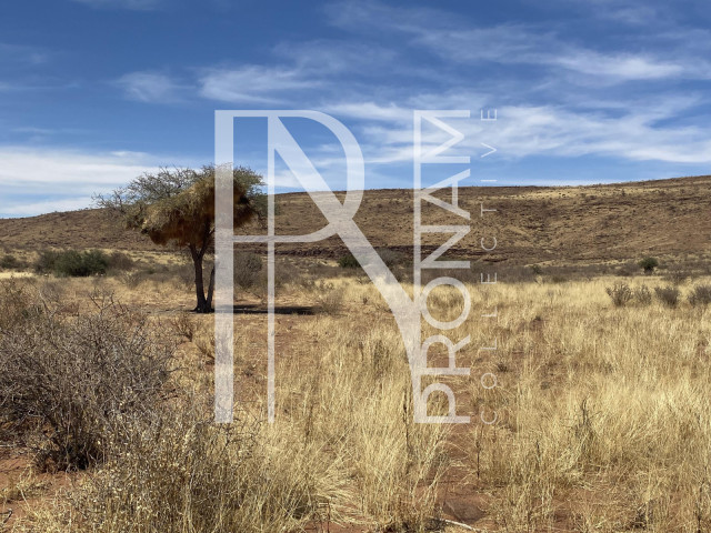 Great pastureland