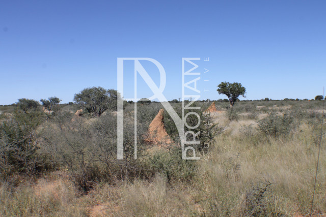 147 Ha Plot For Sale - Ref.No. 2073