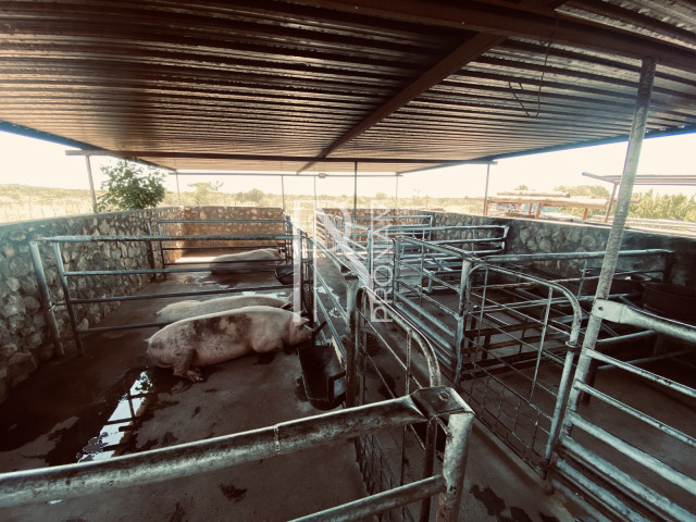 700 Ha Farm For Sale - Ref.No. 2010