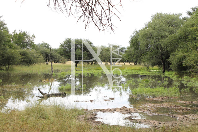 5409 Ha Farm For Sale 