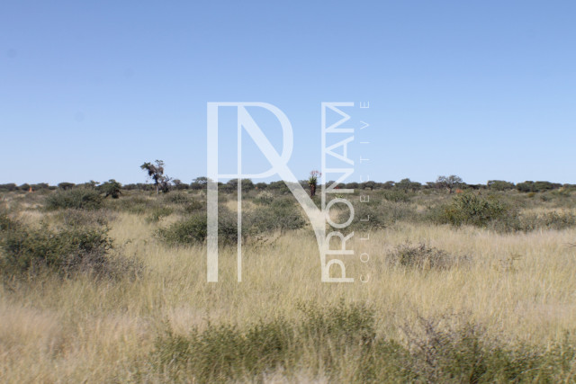129 Ha Plot For Sale - Ref.No. 2076