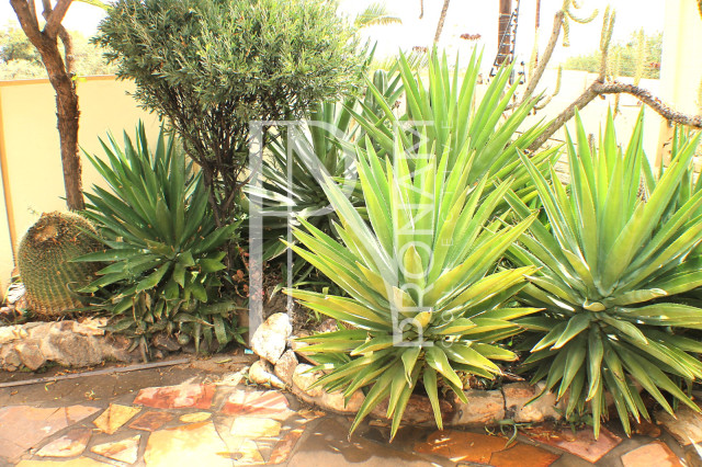 A small garden in front