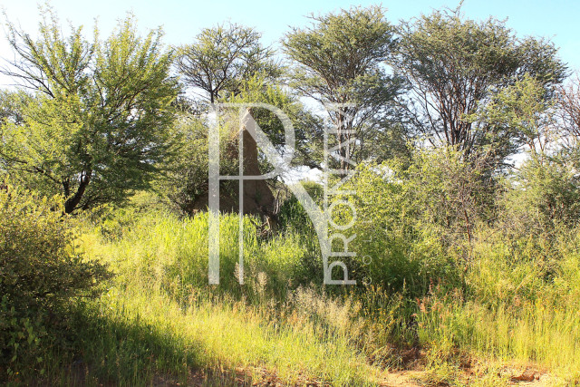 30.08 Ha Plot For Sale