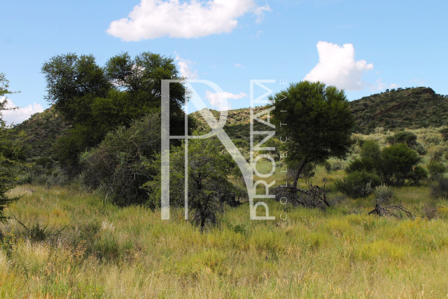 3.75 Ha Plot For Sale 