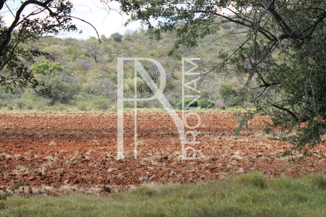 200 Ha Farm For Sale