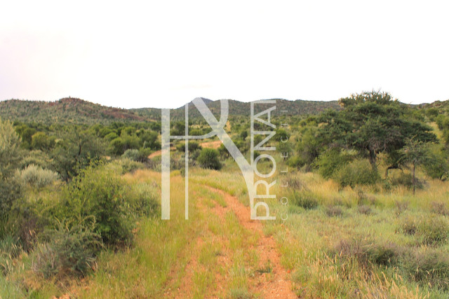 5.64 Ha Plot For Sale