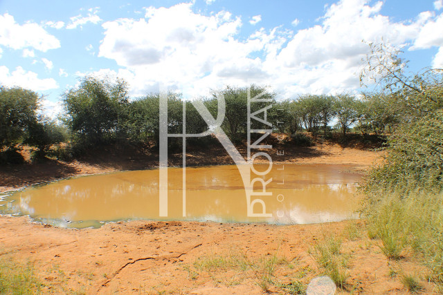 1268 Ha Farm For Sale - PRIME LOCATION - Ref.No. 2063