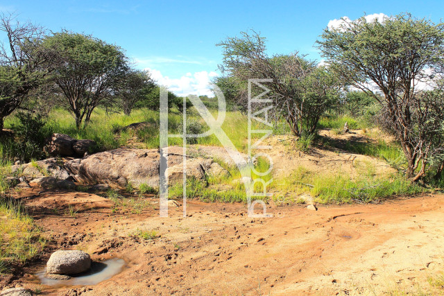 30.08 Ha Plot For Sale - Ref.No. 2050