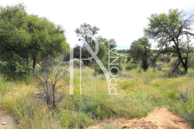 4.02 Ha Plot For Sale