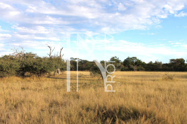 5409 Ha Farm For Sale 