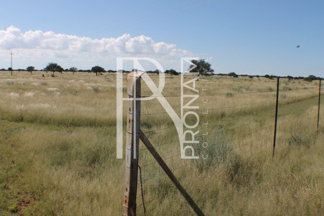 121 Ha Plot For Sale - Ref.No. 2074