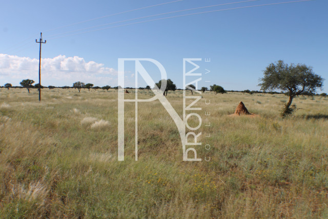 147 Ha Plot For Sale - Ref.No. 2073