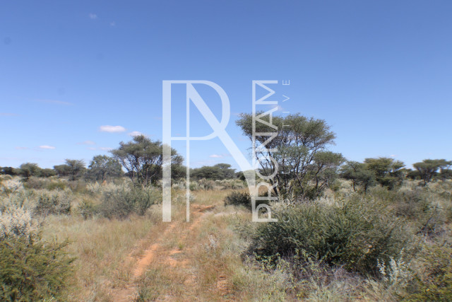 155 Ha Plot For Sale - Ref.No. 2065