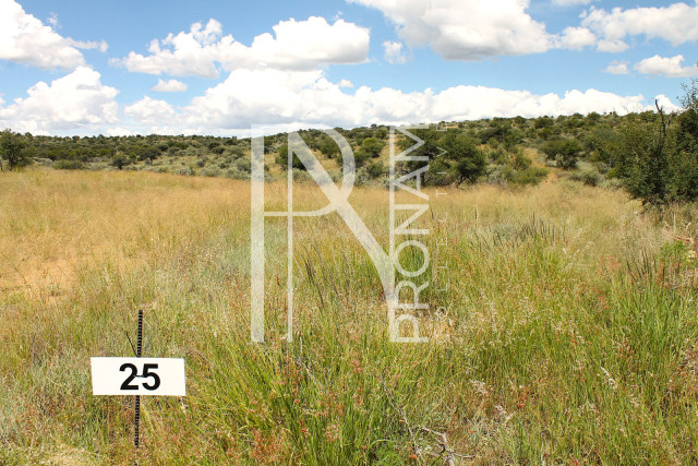 4.0 Ha Plot For Sale - Ref.No. 2039