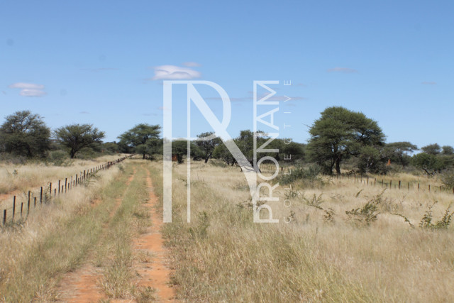 155 Ha Plot For Sale - Ref.No. 2065
