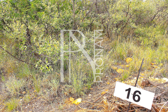 3.96 Ha Plot For Sale - Ref.No.  2030