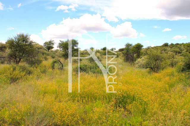 4.09 Ha Plot For Sale