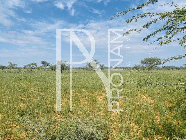 15 Ha Plot For Sale - Ref.No. 2001