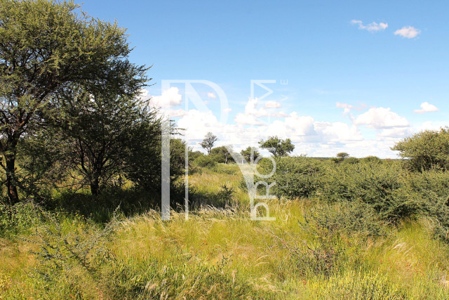 30.08 Ha Plot For Sale