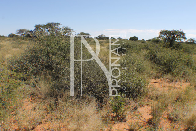 129 Ha Plot For Sale - Ref.No. 2076