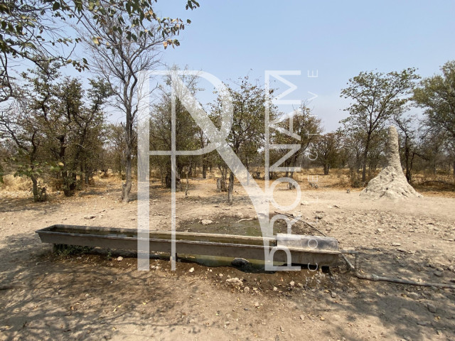 A water point on the farm