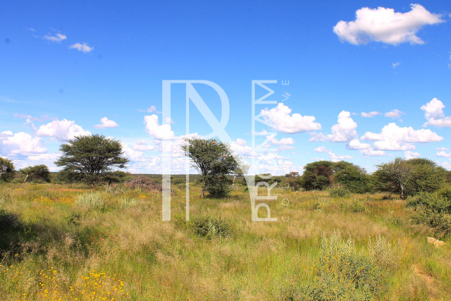 30.08 Ha Plot For Sale