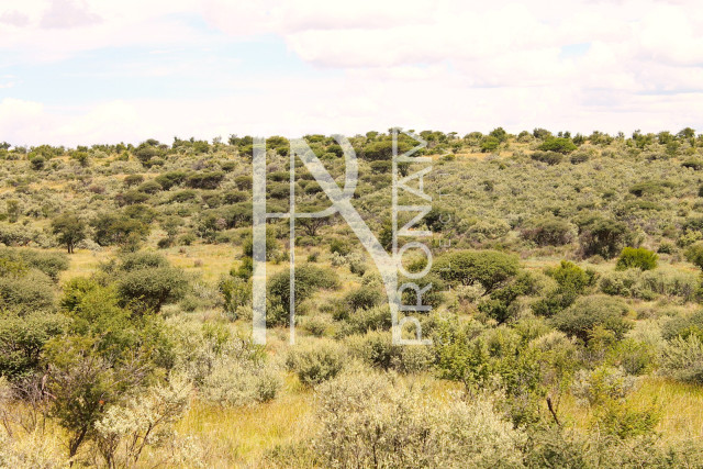 4.0 Ha Plot For Sale