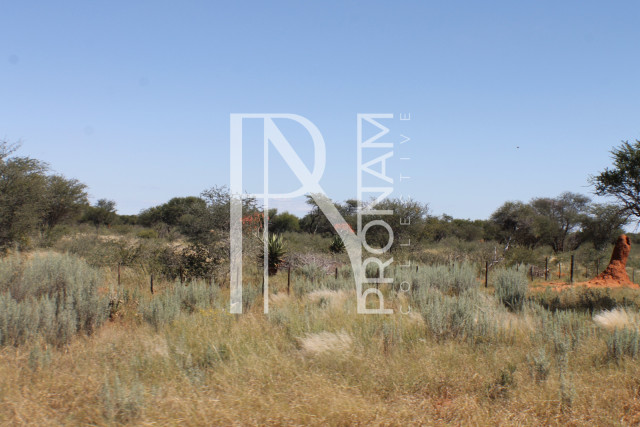 164 Ha Plot For Sale - Ref.No. 2067