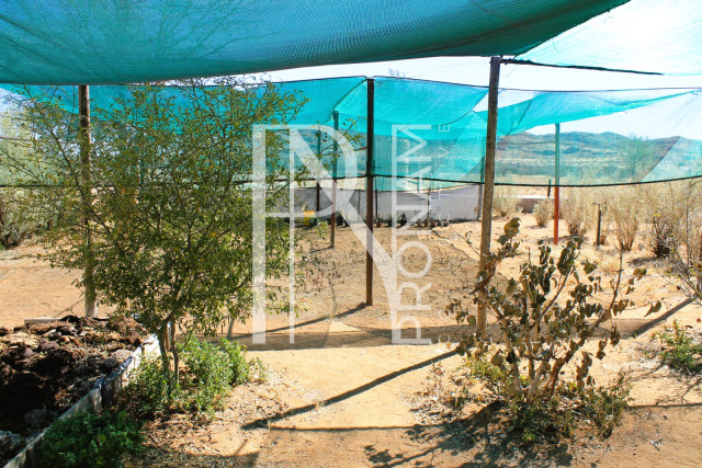 1 Farm For Sale
