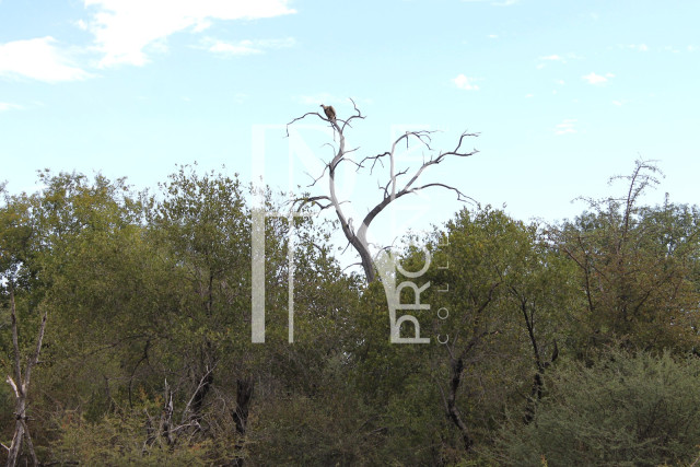5409 Ha Farm For Sale 