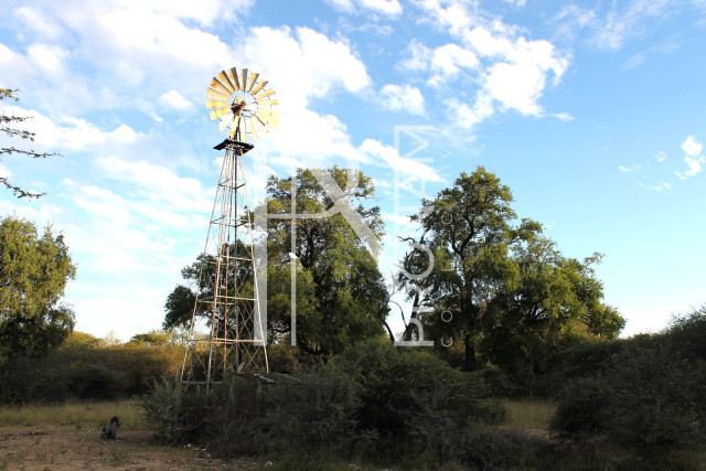 5409 Ha Farm For Sale 