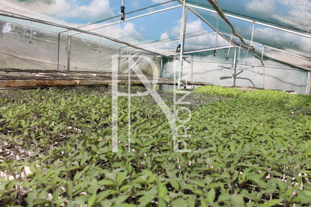 200 Ha Farm For Sale