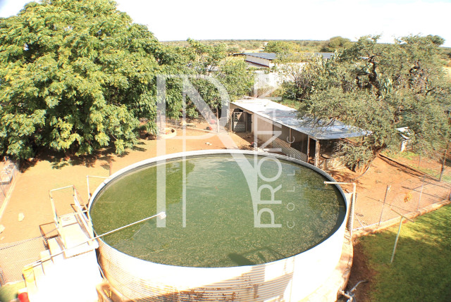 1268 Ha Farm For Sale - PRIME LOCATION - Ref.No. 2063