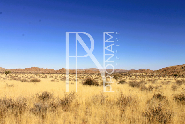 1 Farm For Sale