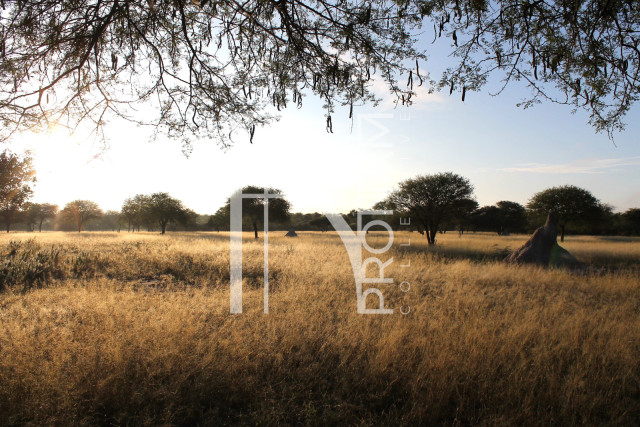 5409 Ha Farm For Sale 