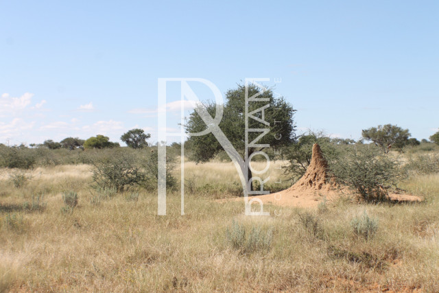232 Ha Plot For Sale - Ref.No. 2068