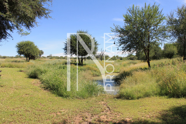 beautiful.. already cleand areas around your property.. for spotting animals